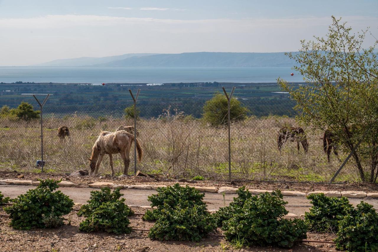 Nof Kinneret Cabins Had Nes Eksteriør billede